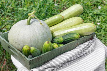 Harvest of ripe cucumber squash and pumpkin in  wooden box on  wooden table