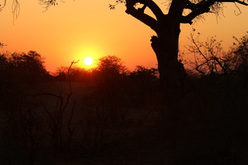 Sunset in South Africa