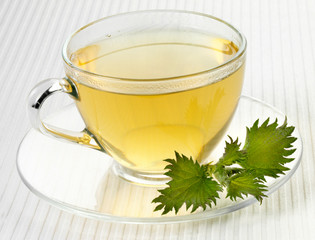 CUP OF NETTLE TEA