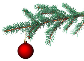 Obraz na płótnie Canvas christmas ball on fir branch isolated on white background