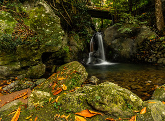 waterfall in the forest