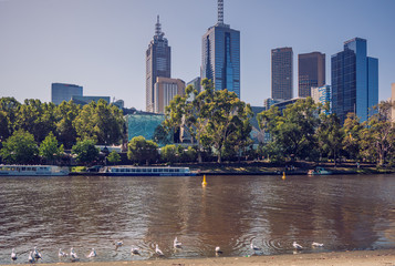 Skyscrapers of Melbourne CBD beyond Yarra river . 4PM, 25 February, 2017