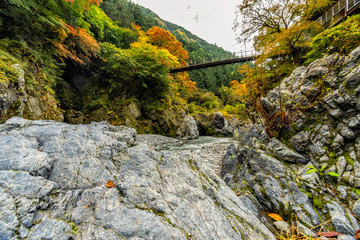 autumn in the mountains