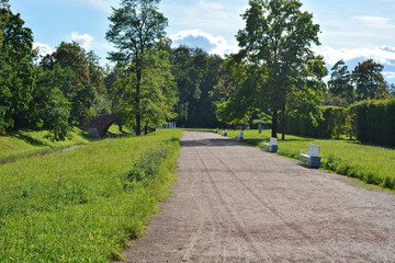 Fototapeta na wymiar Ground road with bench for rest in the city park with trees it sunny summer day