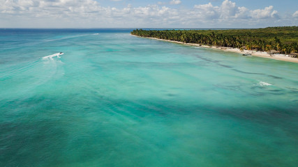 Top view of beautiful white sand beach with turquoise sea water and palm trees, aerial drone shot....