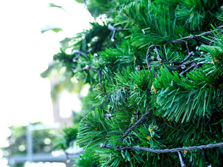 Christmas tree on blue sky