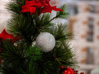 Christmas tree in interior