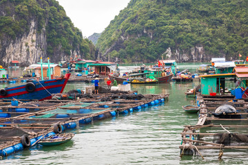 Floating fishing village and fishing boats in Cat Ba Island, Vietnam, Southeast Asia. UNESCO World Heritage Site.