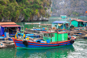 Naklejka na ściany i meble Floating fishing village and fishing boats in Cat Ba Island, Vietnam, Southeast Asia. UNESCO World Heritage Site.