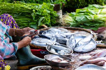 Street Vendor in Hue, Vietnam traditional fish market people selling fresh fish on the sidewalk.
