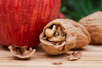 Winter holiday decoration: Blooming Holiday Red Poinsettia, Pine, Berry bush, red apple and walnuts on wooden background