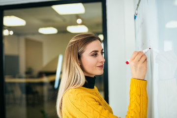 Young casual businesswoman working against white board.