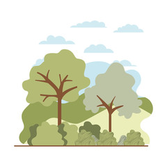 trees plant with landscape isolated icon