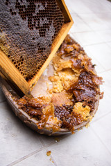 Récolte miel et cire d'abeille cadre de ruche pollen désoperculation des alvéoles travail de...