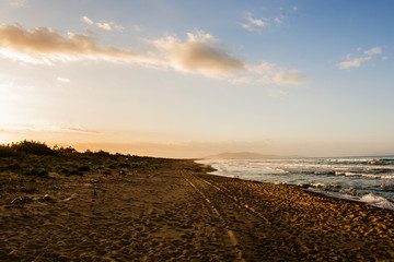 astiglione della Pescaia Tuscany, Italy - sunrise at the beach