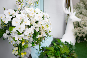 White Orchid Bouquet, Flower decoration, Wedding, Our work, Close up.