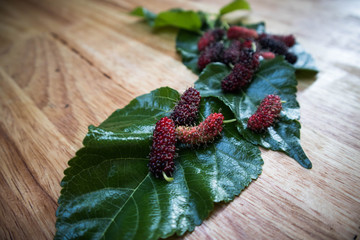 mulberry on table