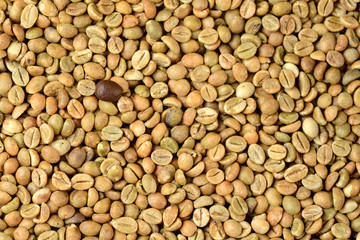 roasted coffee bean on a background of green coffee beans