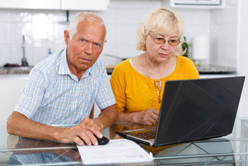 Portrait of a mature family couple  looking at laptop at kitchen