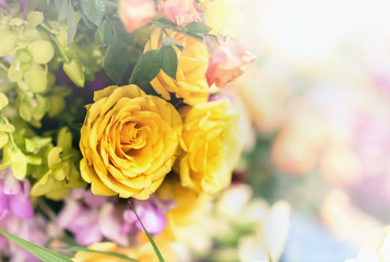 Obraz premium Piękne róże kwiaty.