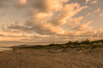 astiglione della Pescaia Tuscany, Italy - sunrise at the beach
