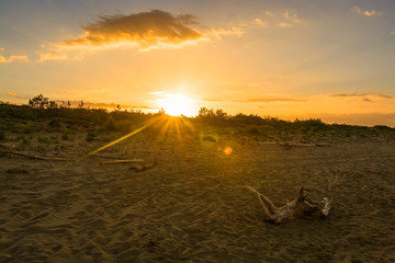 Castiglione della Pescaia Tuscany, Italy - sunrise at the beach