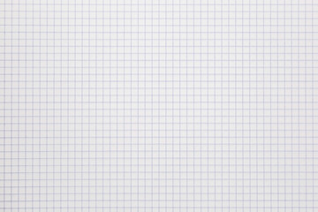Background of a white notebook sheet of paper in a cage.
