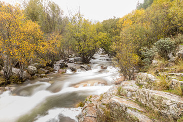 Water torrent of the Manzanares river in the Pedriza area of Madrid
