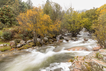 Water torrent of the Manzanares river in the Pedriza area of Madrid