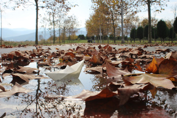 Paper boat  and dry leaves on the puddle