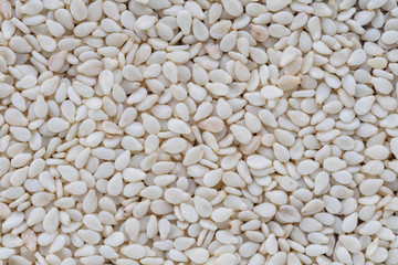 White toasted sesame seeds background, macro shot.