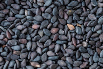 Black sesame seed background and textured