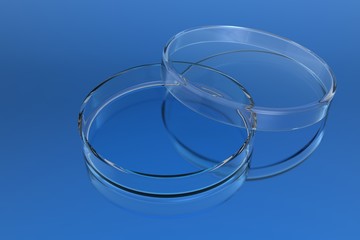 Transparent glass petri dishes on blue background with ground reflections. 3D rendering
