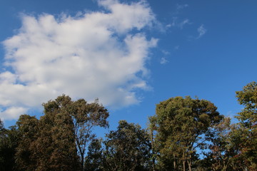 京都ぶらり、秋の夕暮れ