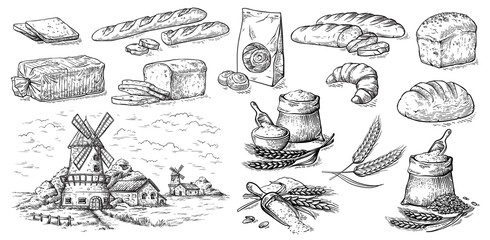 collection of natural elements of bread and flour mill sketch vector illustration - obrazy, fototapety, plakaty
