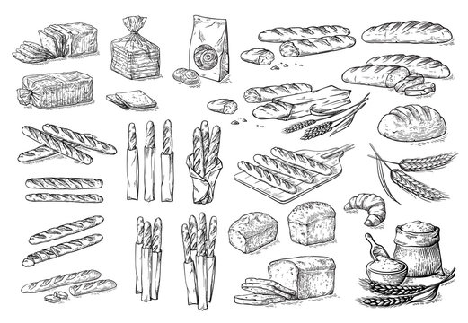 collection of natural elements of bread and flour sketch vector illustration