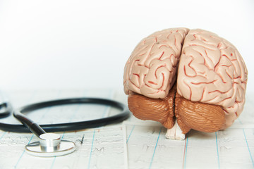 Human brain model and a black stethoscope on background of brain waves