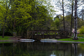 bridge over scenic river