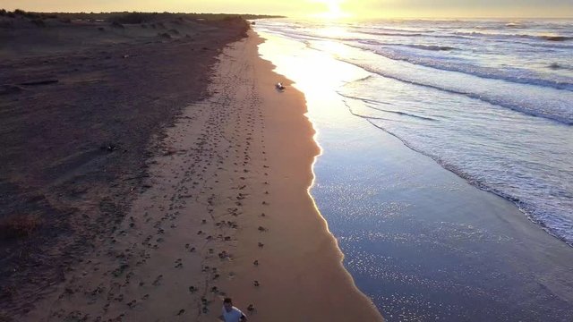 Dynamic aerial view descent with drone on young attractive man jogging on the beach at sunrise. Running workout practice in fitness and healthy lifestyle concept.