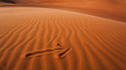 arrow in the desert sand pointing right