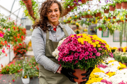 Florist working in green house