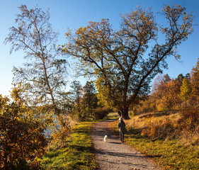 Autumn in the park