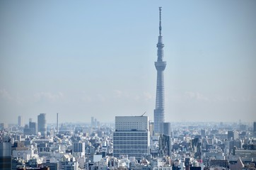 Naklejka premium Landscape view of Tokyo city skyline with Tokyo sky tree, the tallest tower in Tokyo, Japan in clear winter sky day