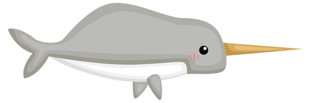 a vector of a cute and adorable narwhal