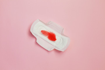 Red feather and daily, menstrual woman pad for hygiene or blood period. Woman critical days, gynecological menstruation cycle.