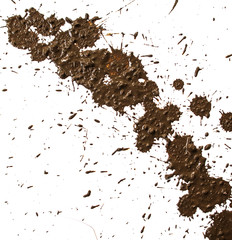 Drops of mud splashes on a white backgrounds