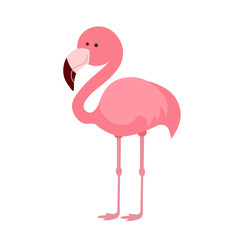 pink flamingo illustration