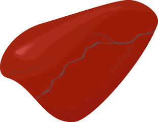 pebble of red jasper macro isolated on white background