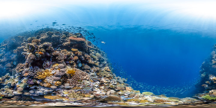 360 of Great Barrier Reef, healthy