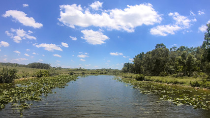 Florida Seminolen, Airboat ride at Everglades National Park in USA. Popular place for tourists, wild nature and animals.